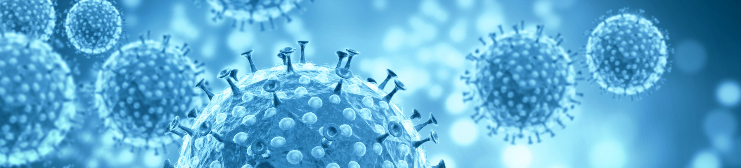 Coronavirus, EO