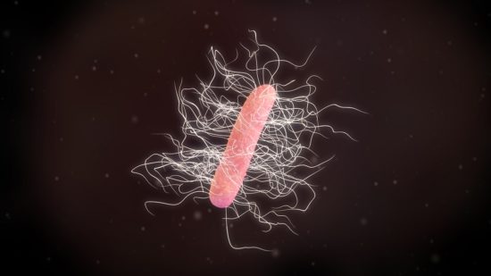 dreamstime_Clostridioides difficile c. diff