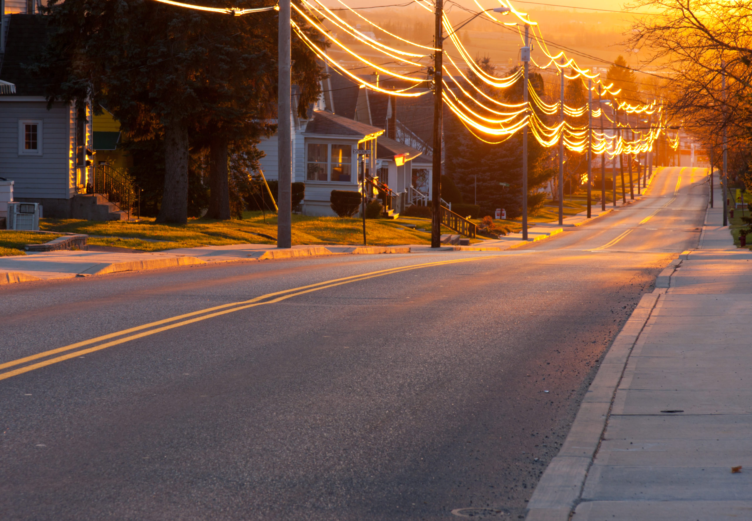 Sunset Street