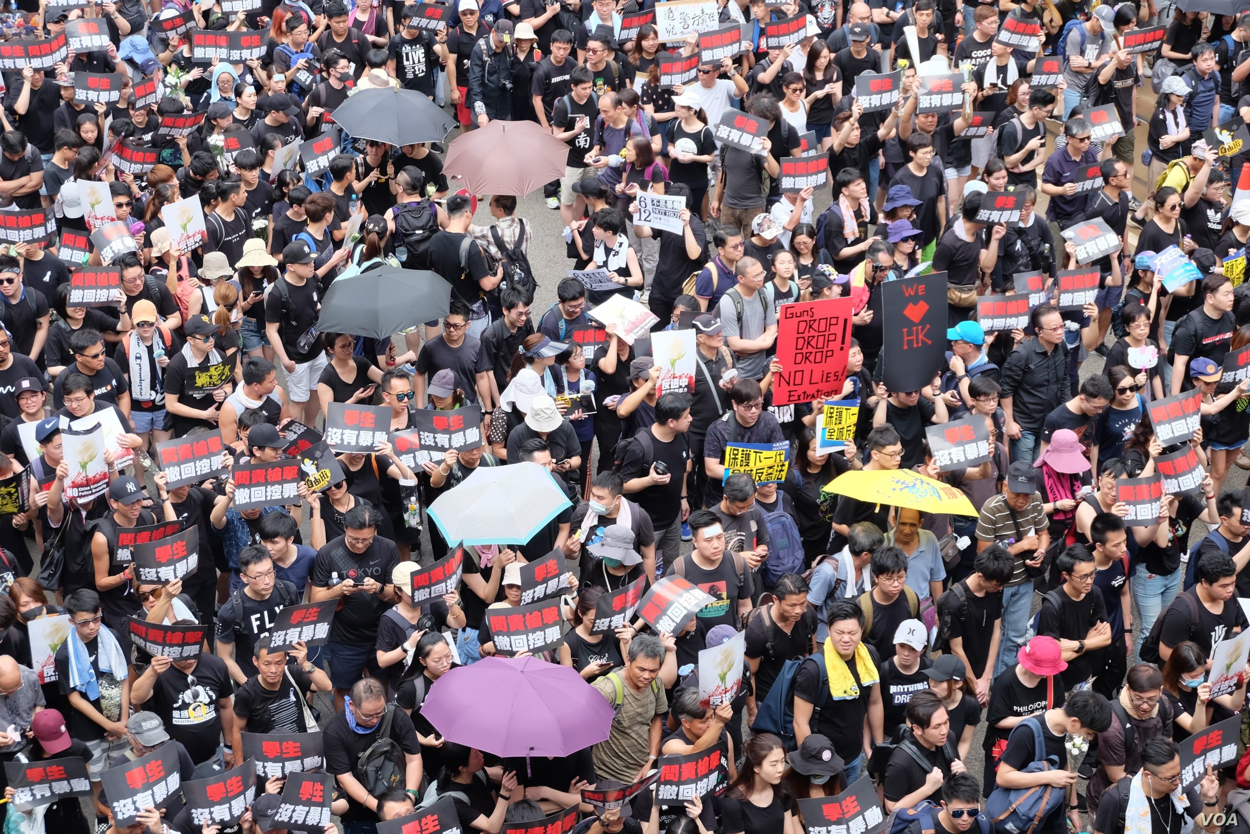 Hong Kong Protests