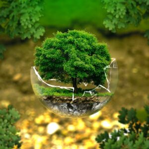 https-secureservercdn-net-198-71-233-138-8zo-c8d-myftpupload-com-wp-content-uploads-2020-06-environmental-protection-326923_1920-1-300x300-jpg
