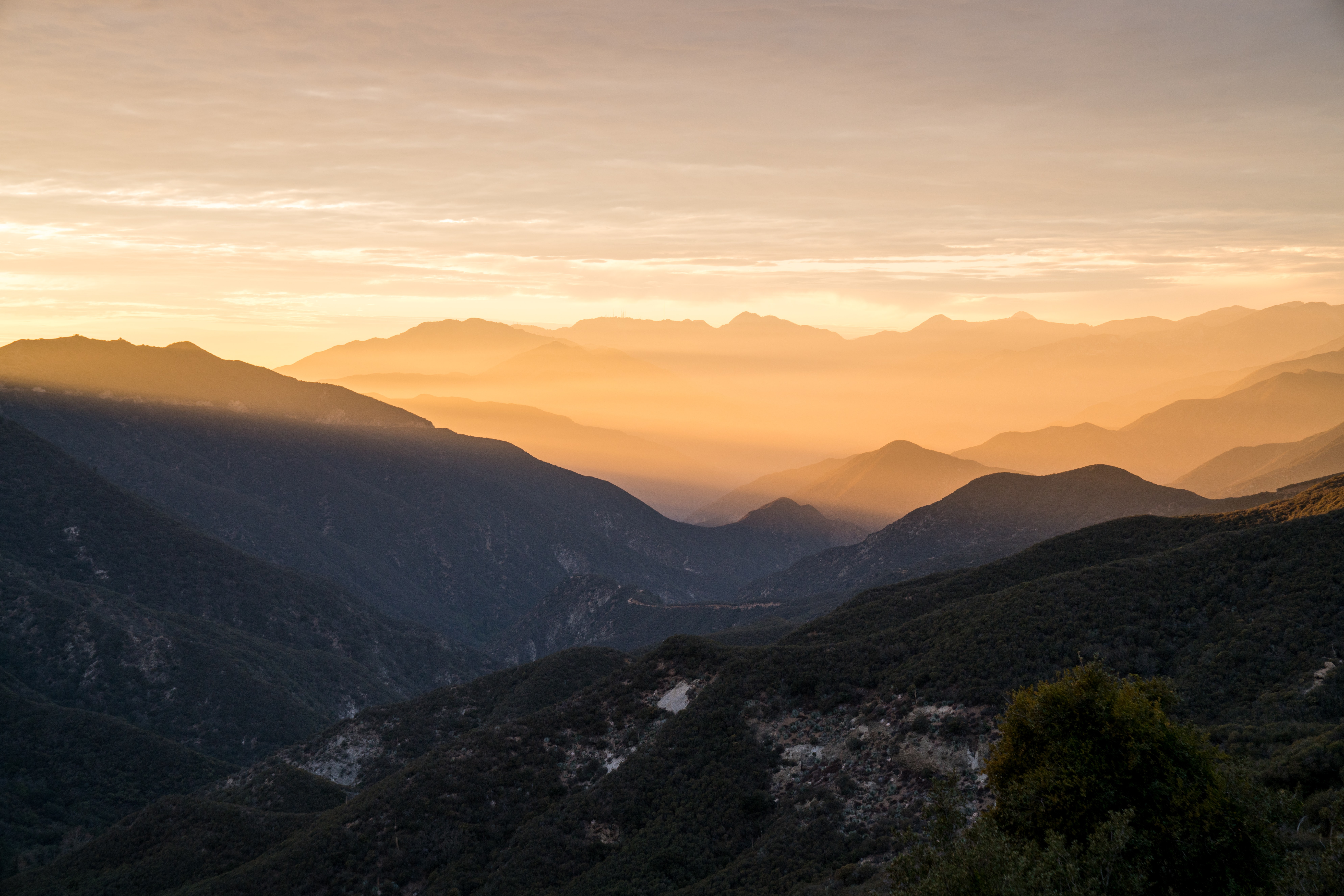 tommy-lisbin-Pgayeq8jmDY-unsplash