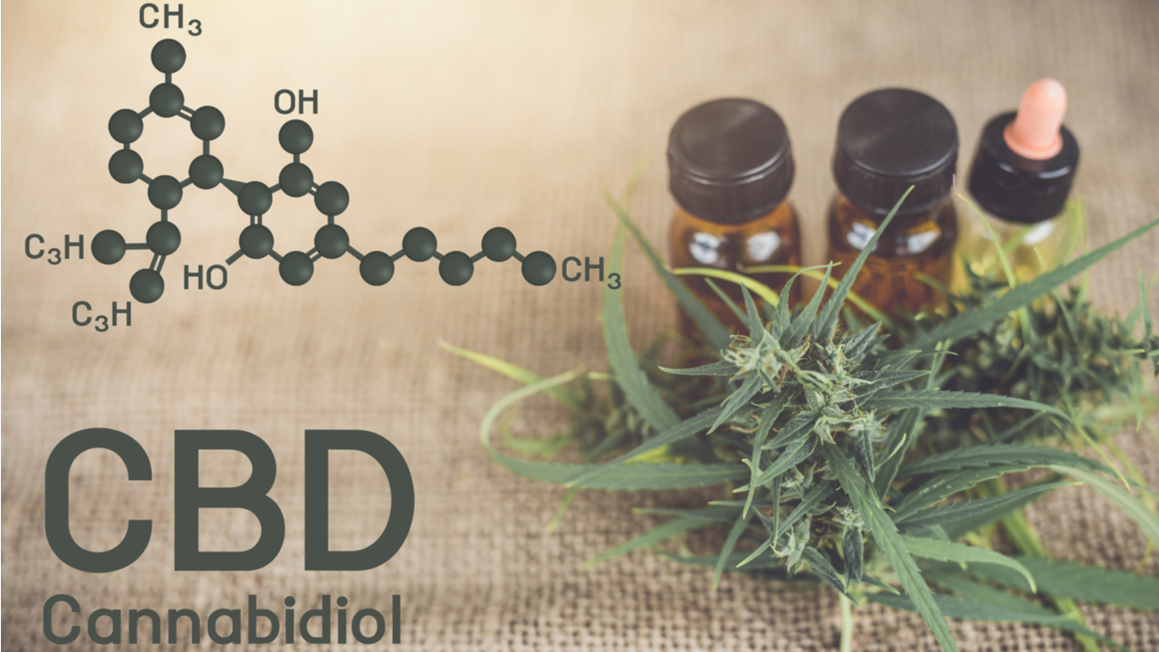 cannabis-CBD-1280-shutterstock_1107619499