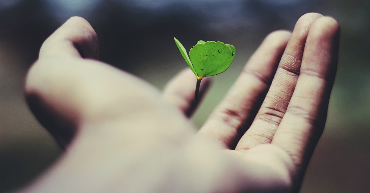 ravi-roshan-_AdUs32i0jc-unsplash