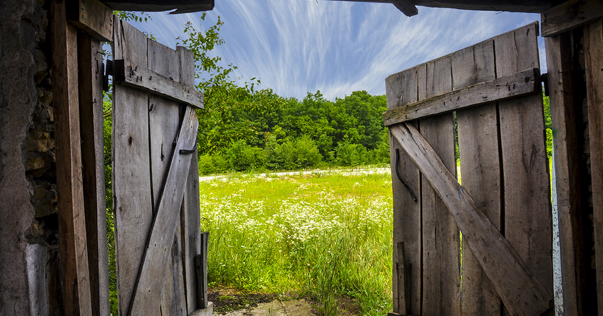 Barn Doors