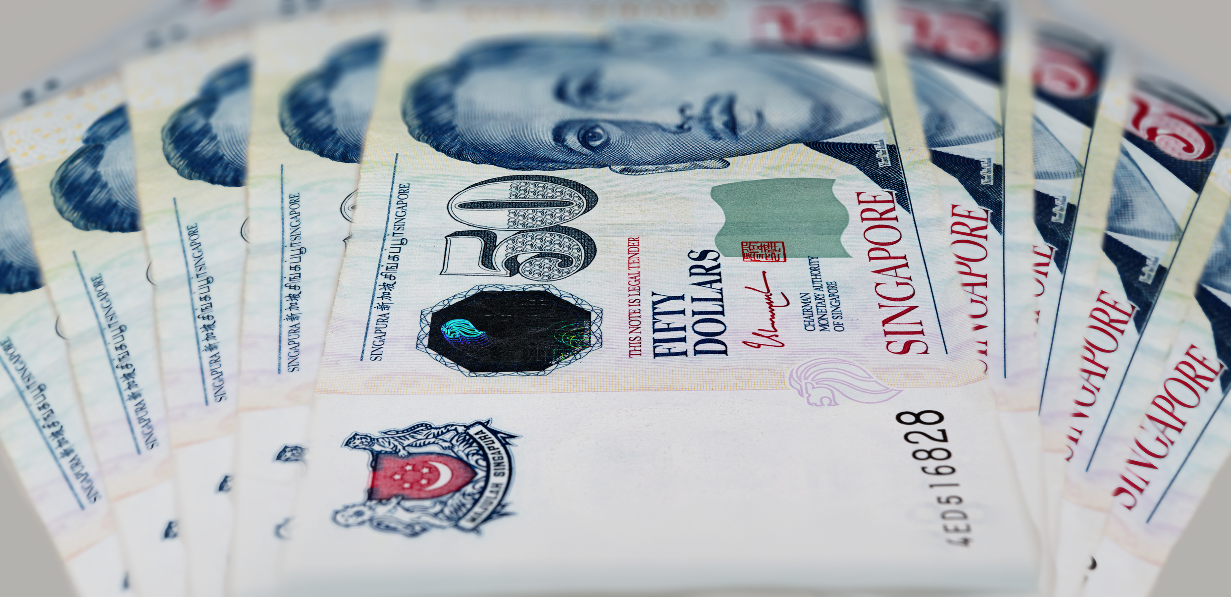 50 Singapore dollars, a close up photography