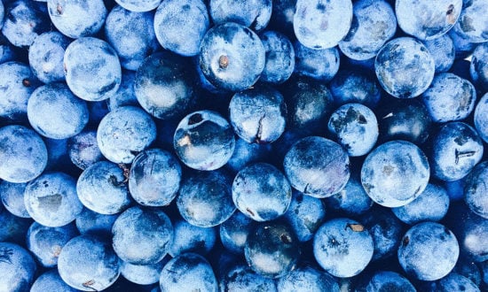 feature-1-blueberries