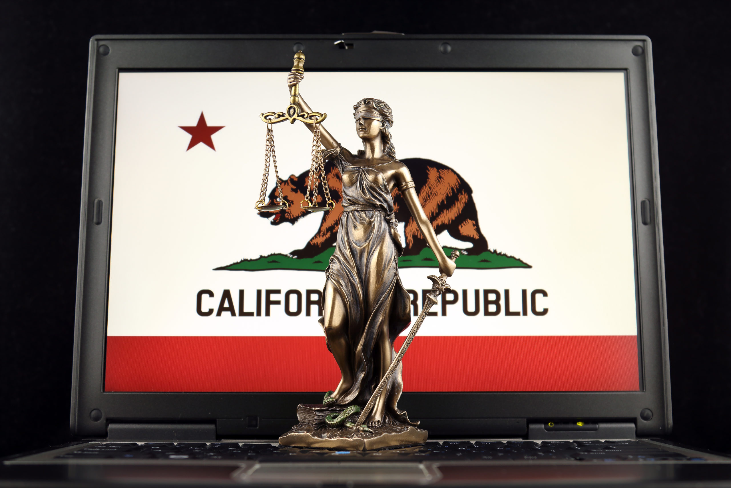 California_Privacy_Computer_Secuity_shutterstock_1048545287