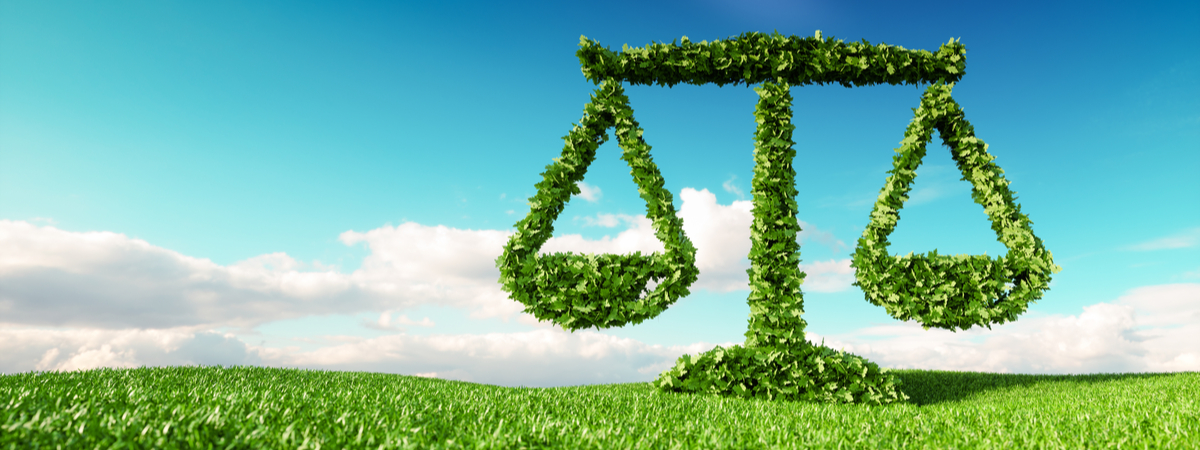 Environmental-justice-scales (1)