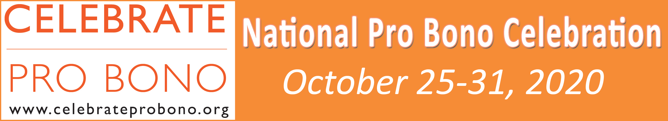 Pro Bono Website Banner-Oct-2020(1)