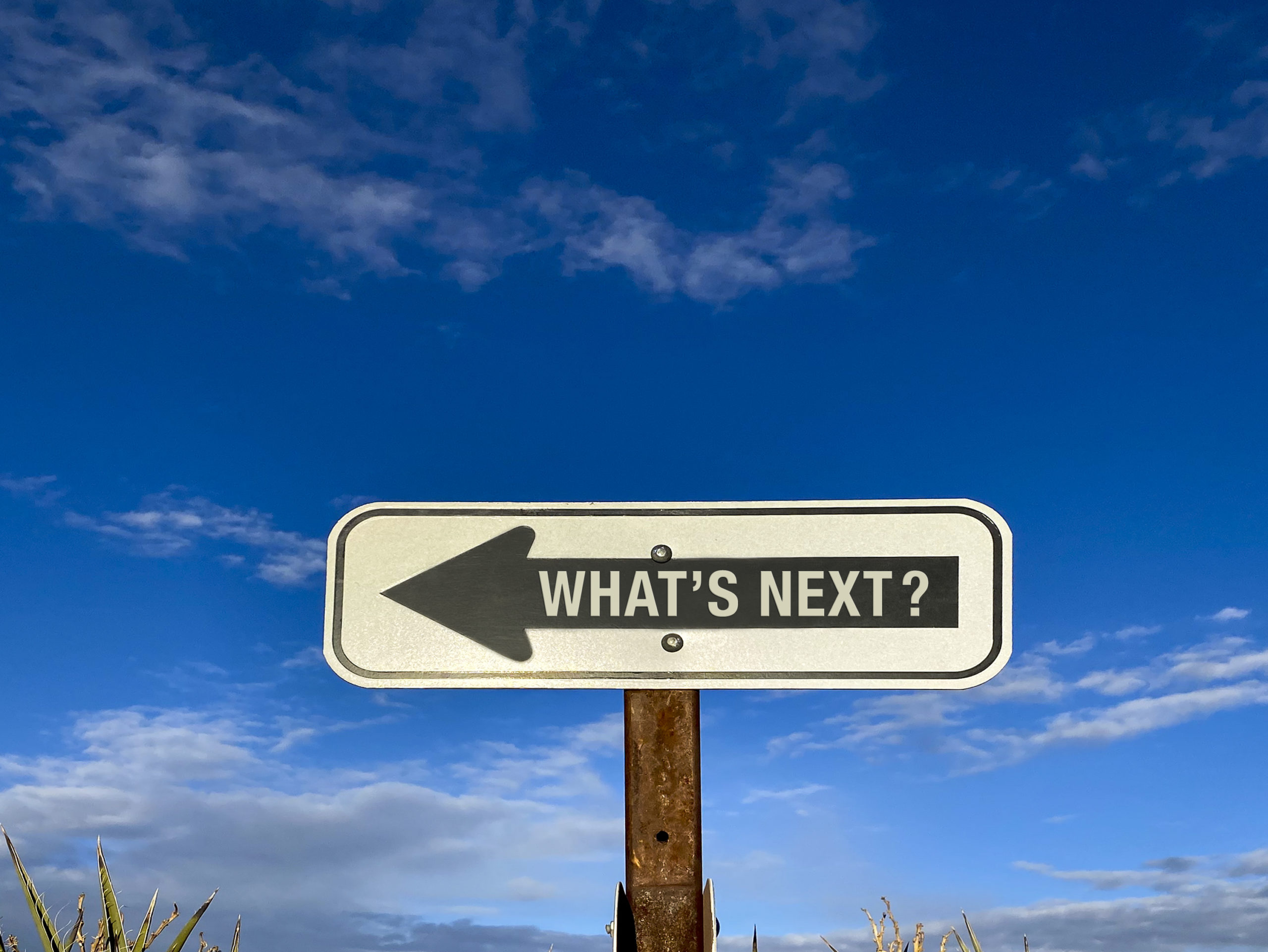 What's Next