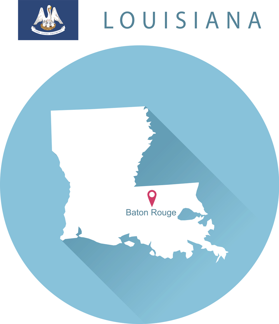 USA state Of Louisiana's map and Flag