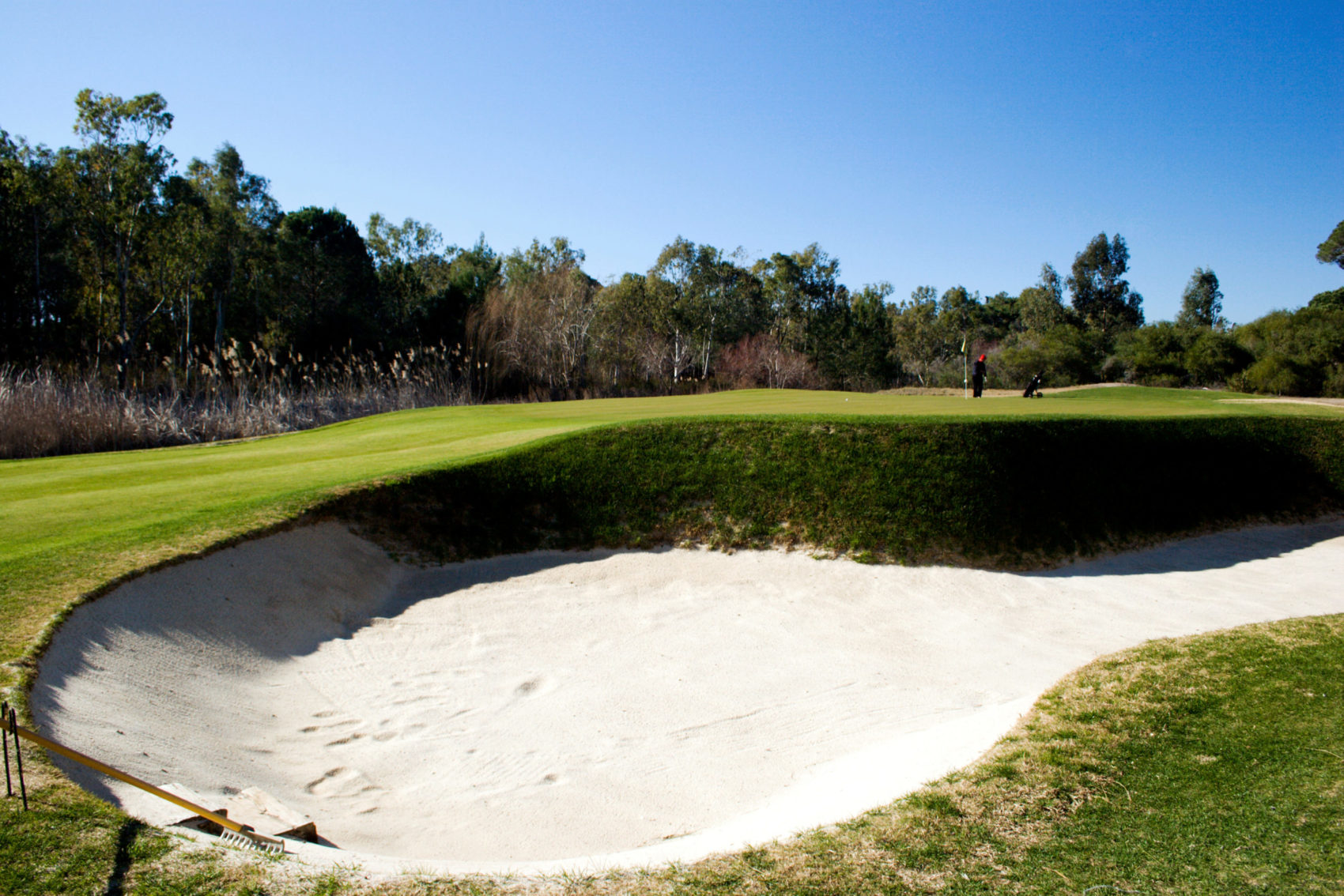 Golf Area