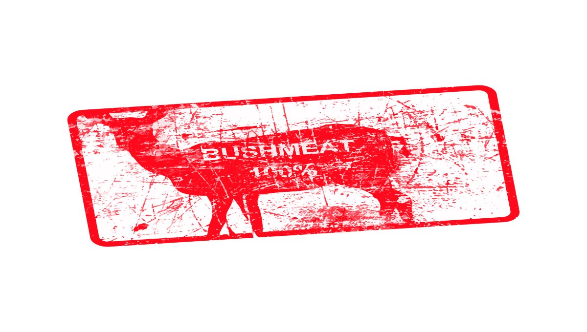dreamstime_bushmeat wildlife food exotic