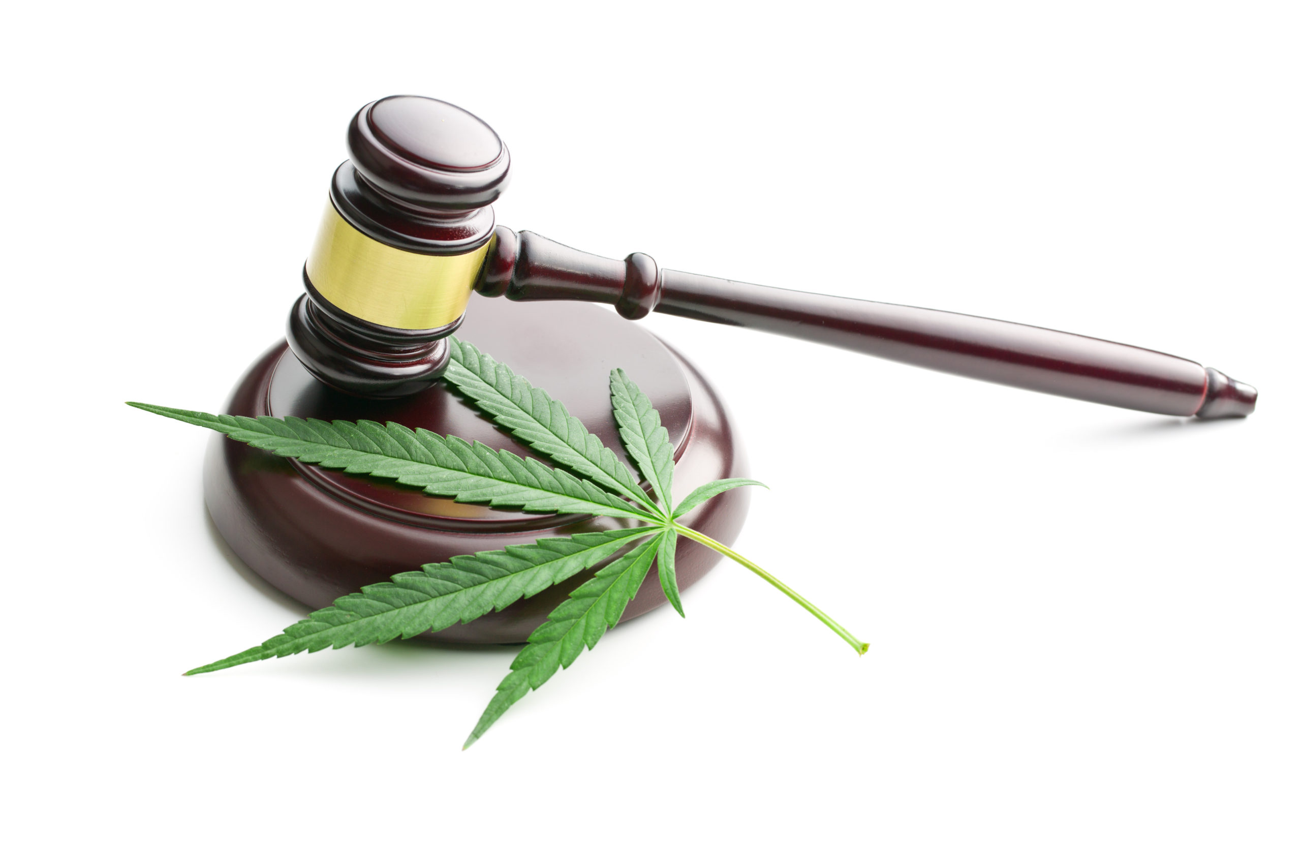 marijuana_law_gavel_shutterstock_309992177