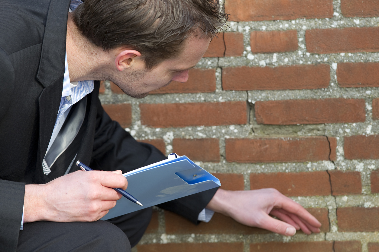 Insurance claim expert at work