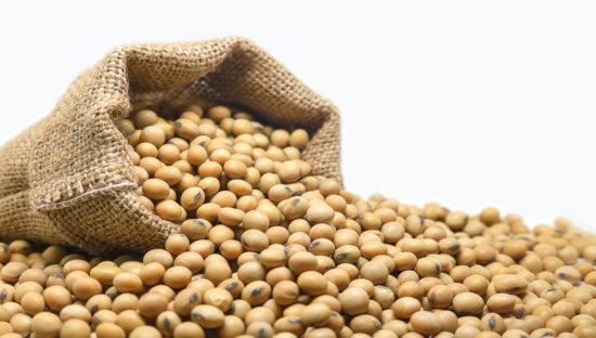 dreamstime_soybeans