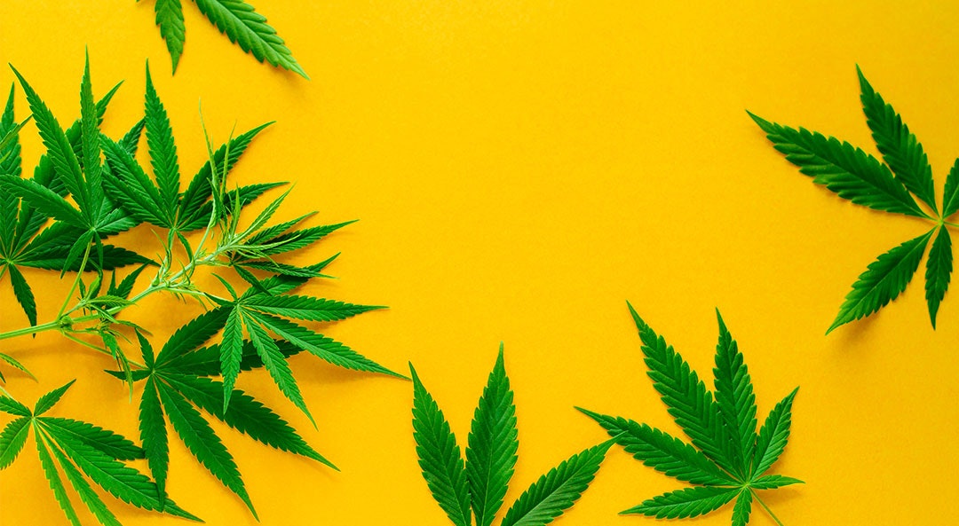 https-www-workingsolutionsnyc-com-wp-content-uploads-weed_fb_0-jpg