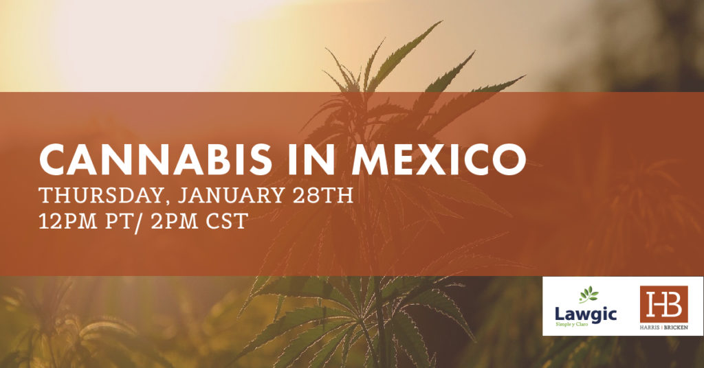 http-harrisbricken-com-wp-content-uploads-cannabis-in-mexico-1-1024x536-jpg