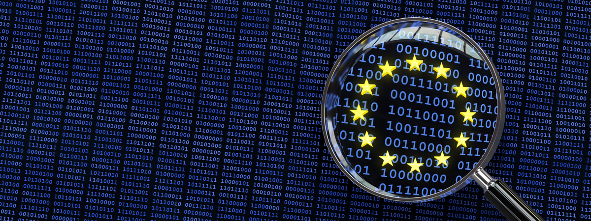 European Union Privacy Regulation