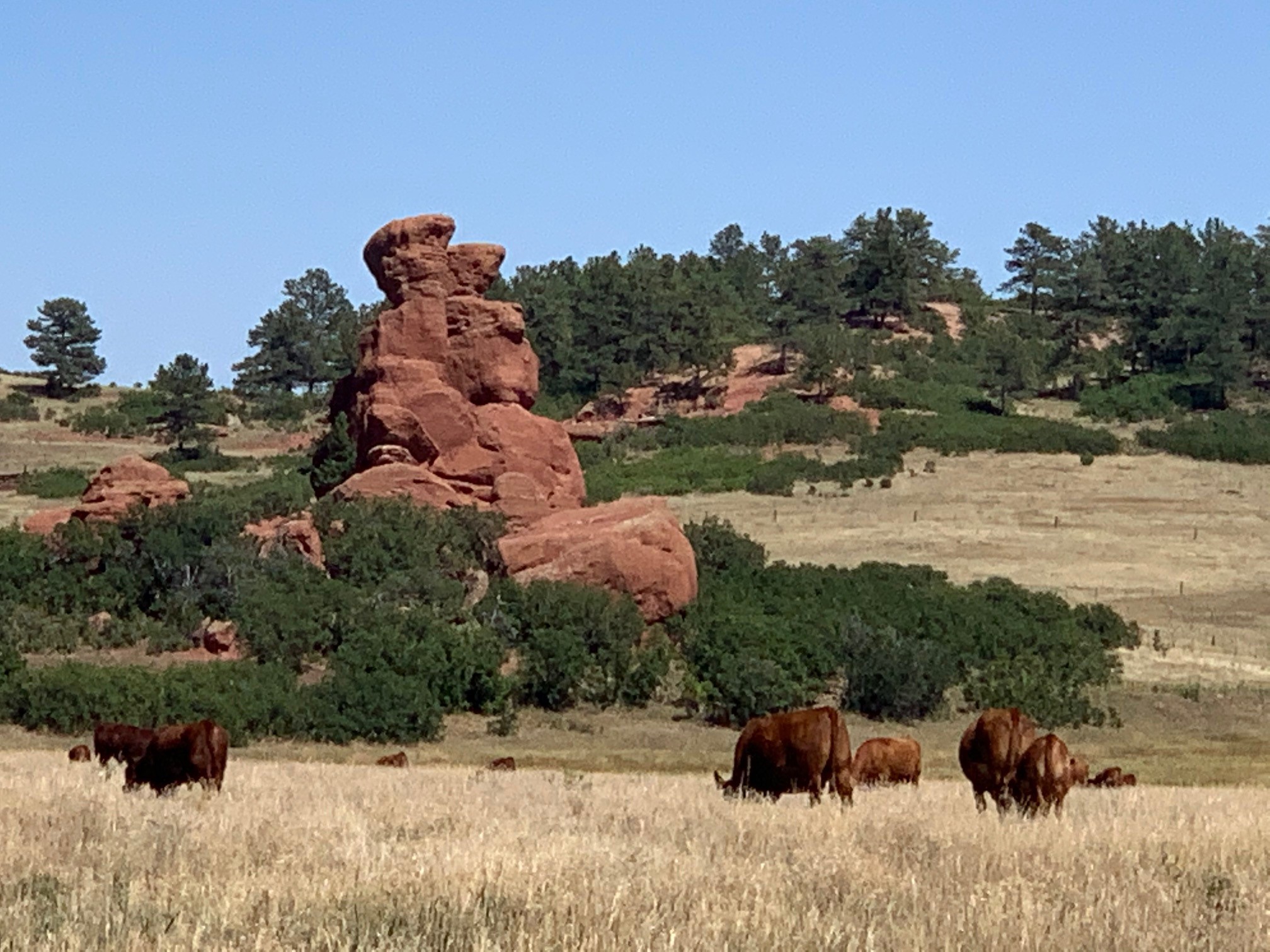 Sandstone