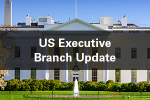 https-www-capitalthinkingblog-com-wp-content-uploads-sites-20-2020-05-us-executive-branch-update-jpg