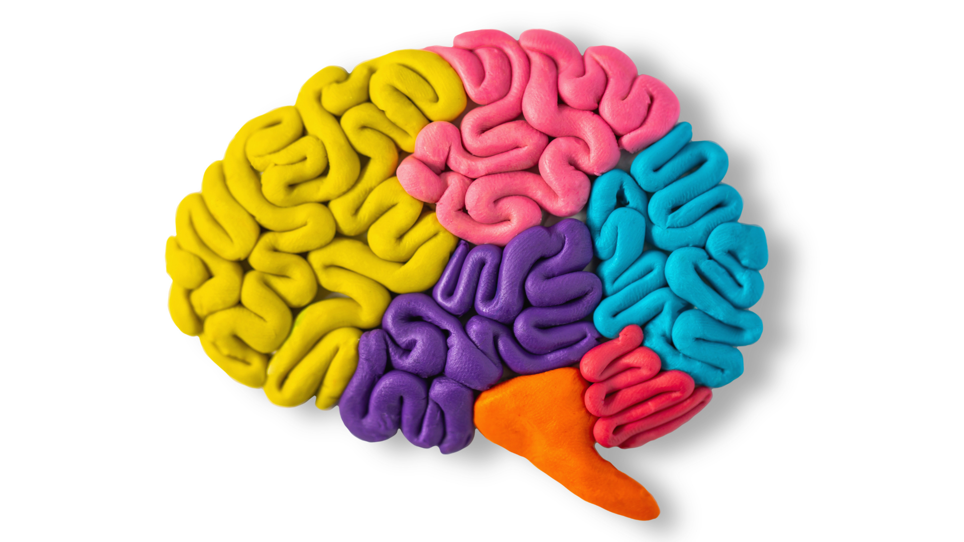 Colorful Brain