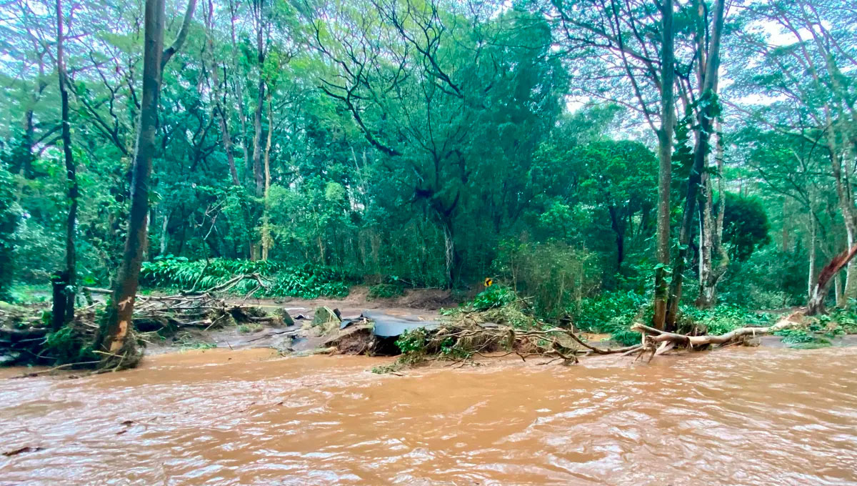 maui-flood-feature