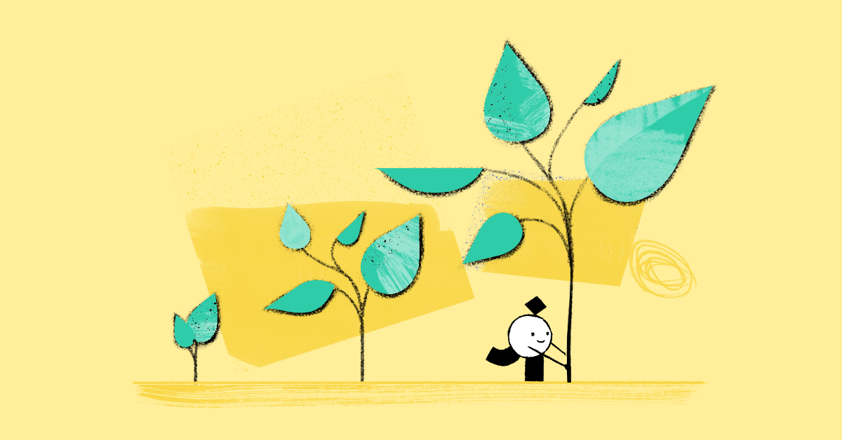 Startup growth essentials: effective contract process