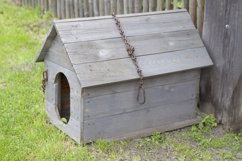 Wooden doghouse with an iron chain and a broken roof