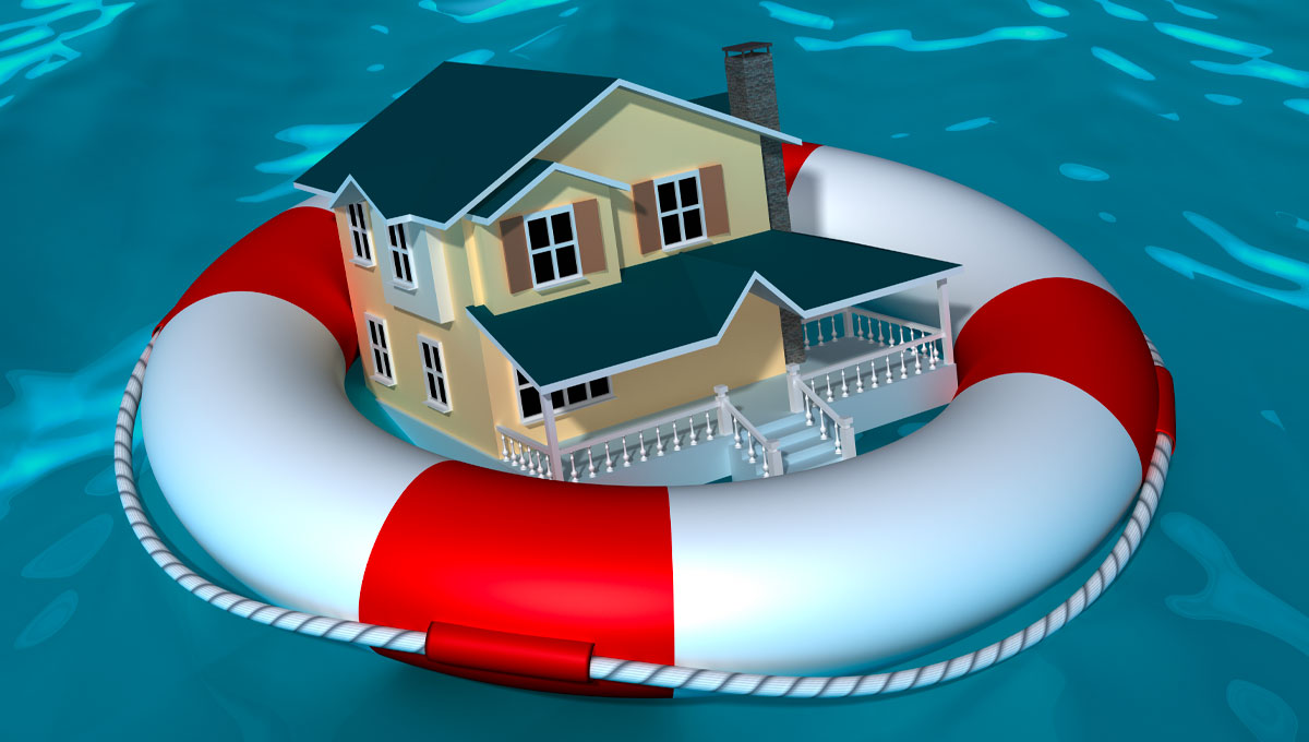 house-ring-feature