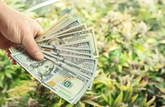 Marijuana Business Opportunity Cannabis Business Start Marijuana Business Cannabis Events
