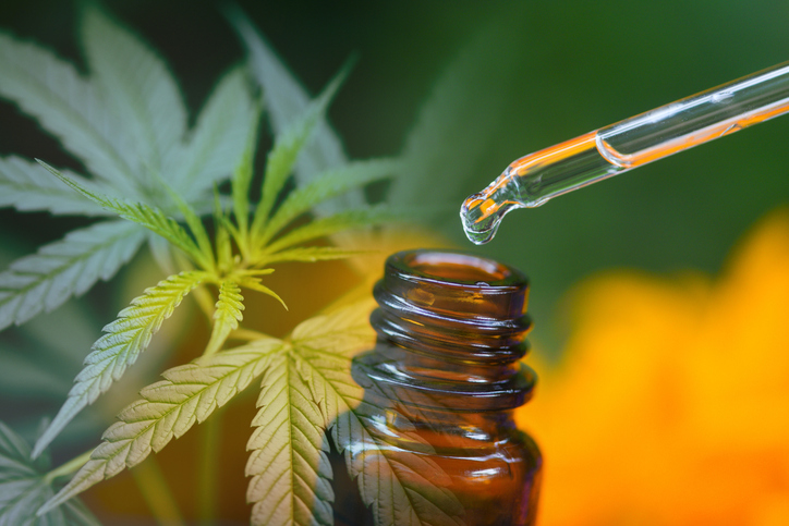 CBD products cannabis leaf aromatherapy herbal oil bottles aroma with flower on nature green background - Marijuana plant essential oils natural and organic minimalist lifestyle natural ingredients