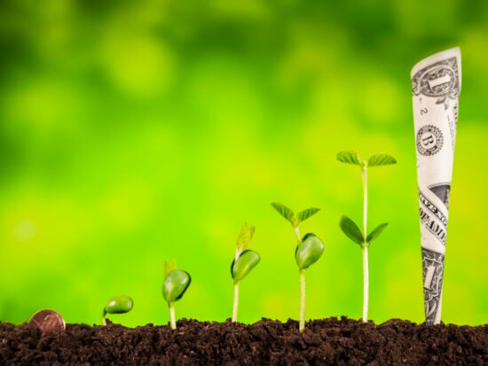 business investment:plant growing on green background