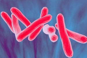 tbbacteria-300x200