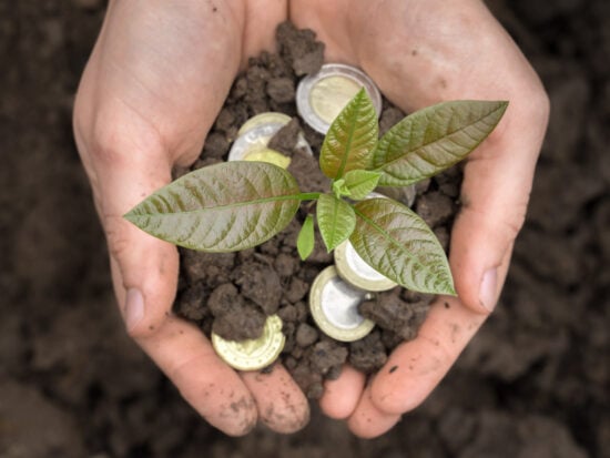 Hands is holding coins money with plant and soil