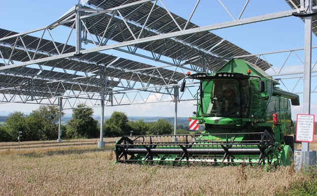 Agrivoltaics Photo