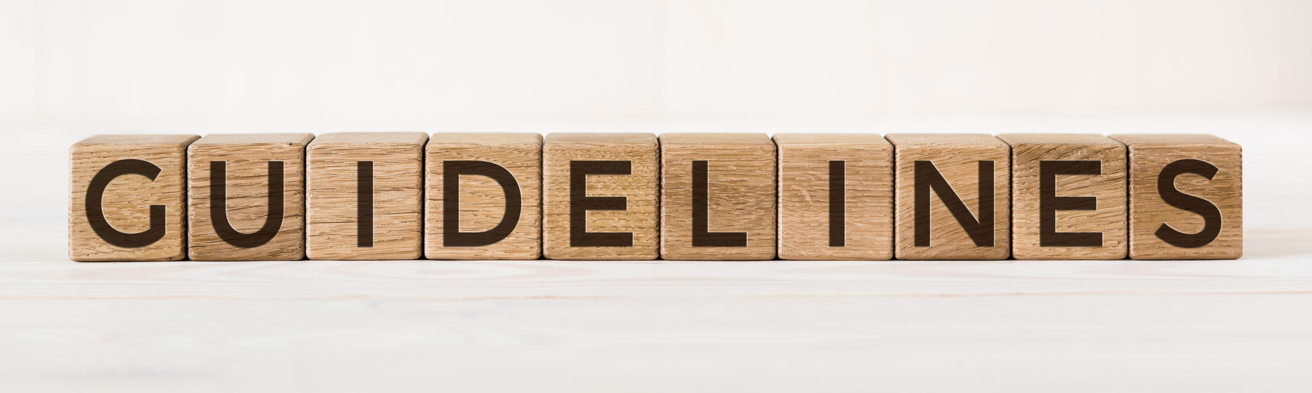 Wooden cube with word GUIDELINES on light background. Concept image.