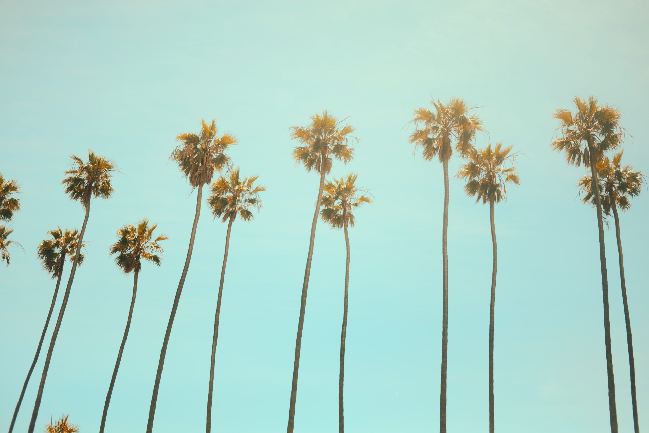 julian-myles-2YGrbLlbz6Y-unsplash