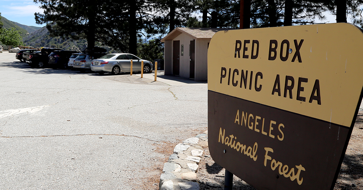 Angeles National Forest