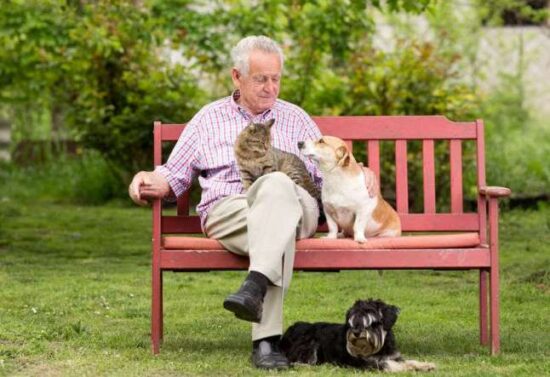 https-i0-wp-com-www-legalwills-co-uk-blog-wp-content-uploads-2021-10-elderly-man-with-dogs-jpgresize646%2c443ssl1