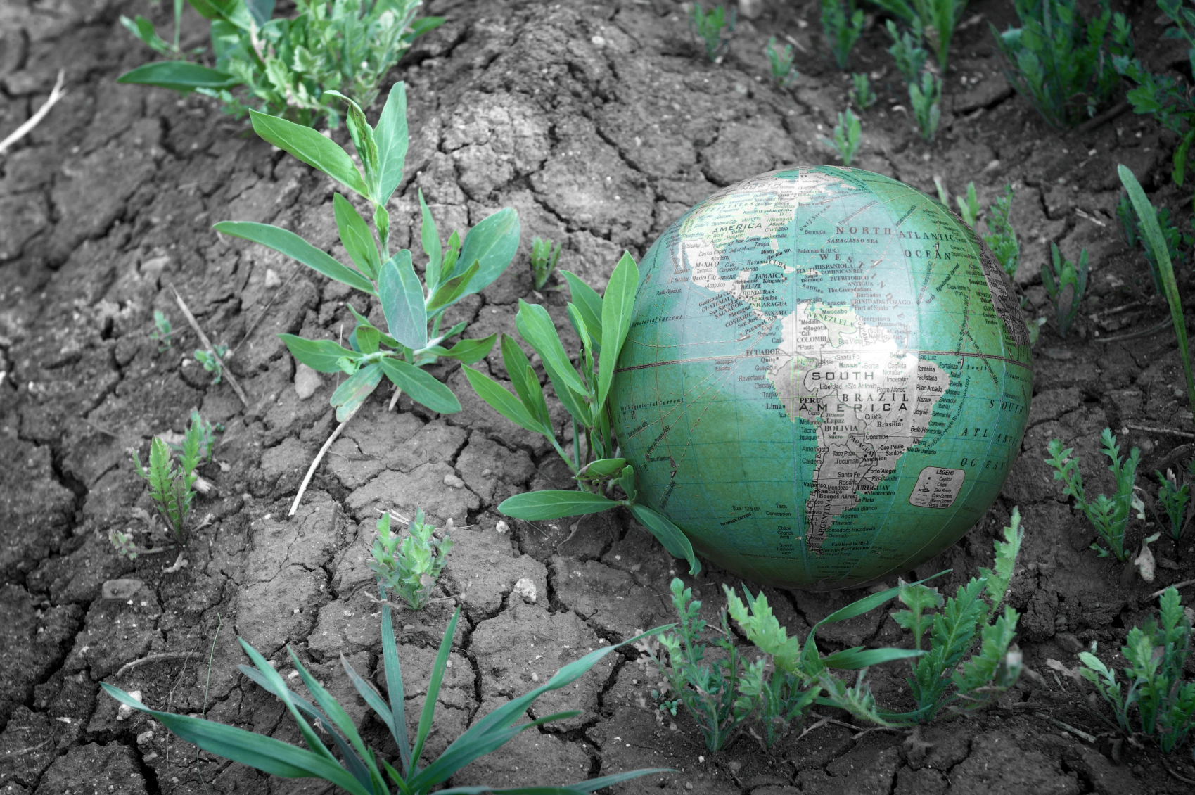 Environmental