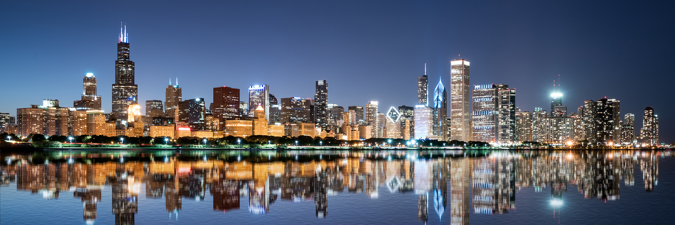 Chicago Night Skyline