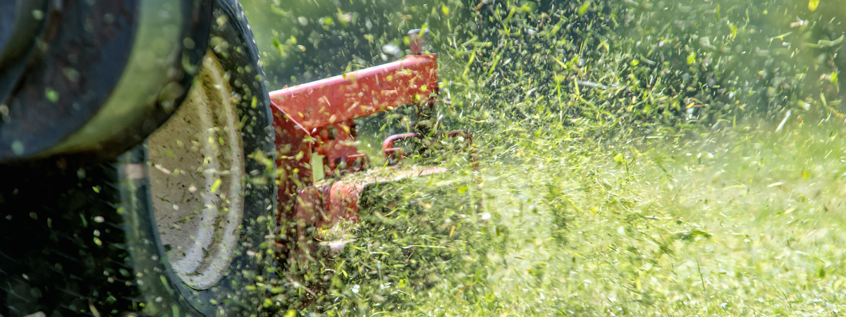 lawn mower