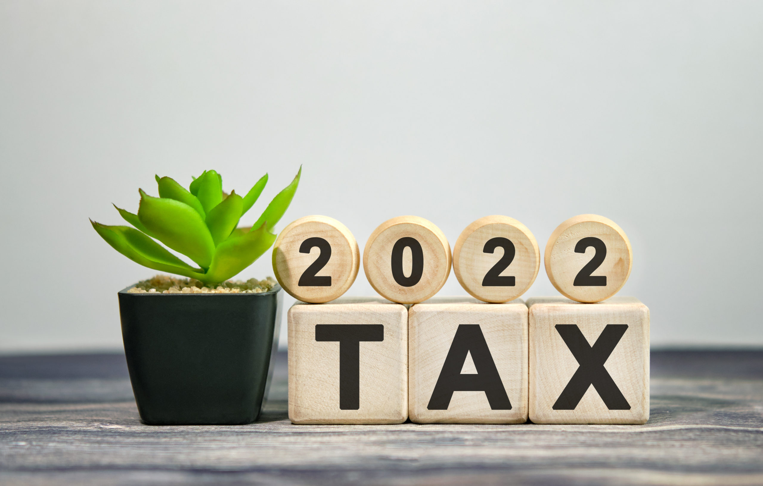 2022 tax - financial concept. Wooden cubes and flower in a pot.
