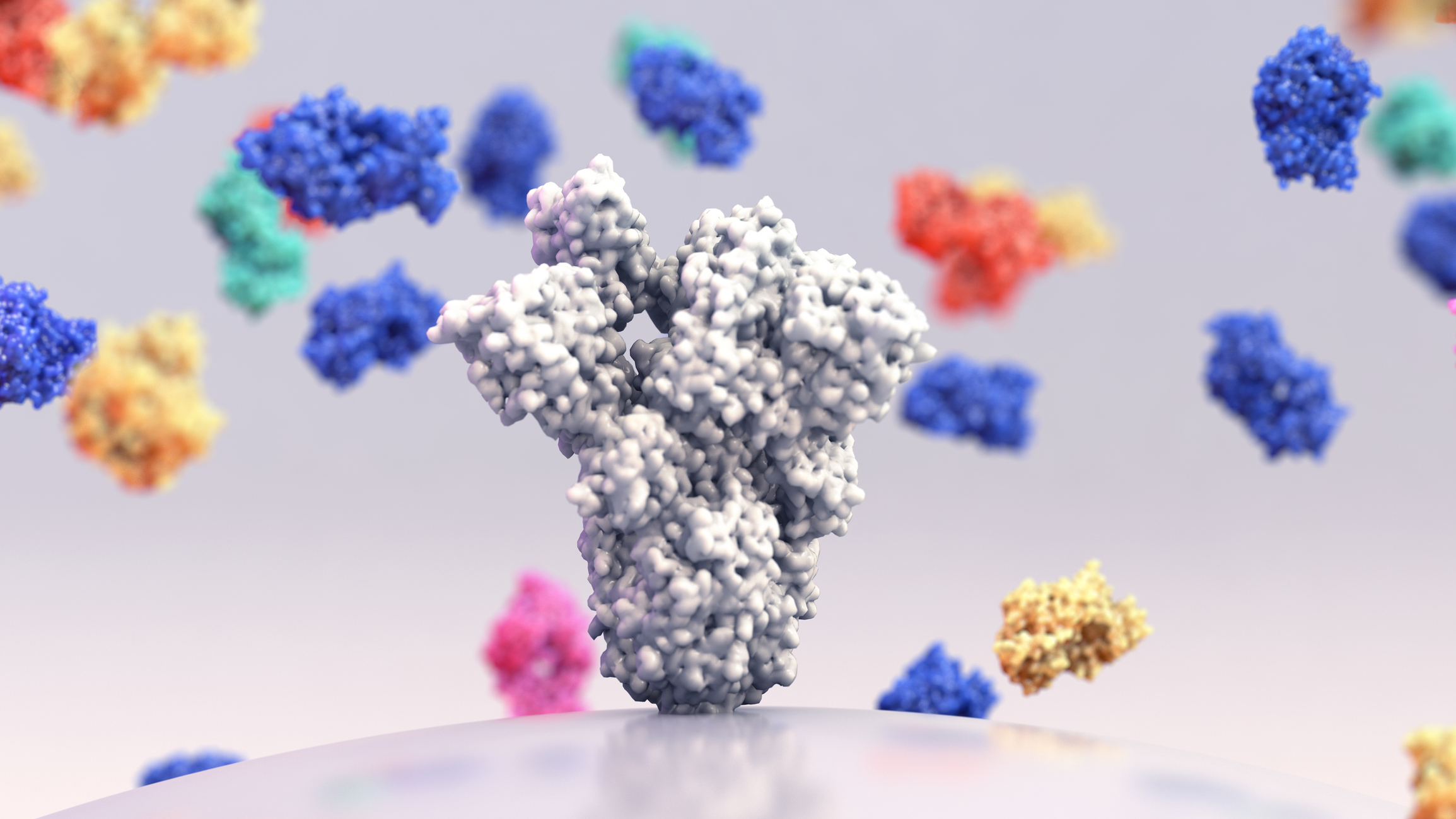 Broadly neutralizing monoclonal antibodies, binding antibodies that target multiple conserved sites on the spike (S) protein