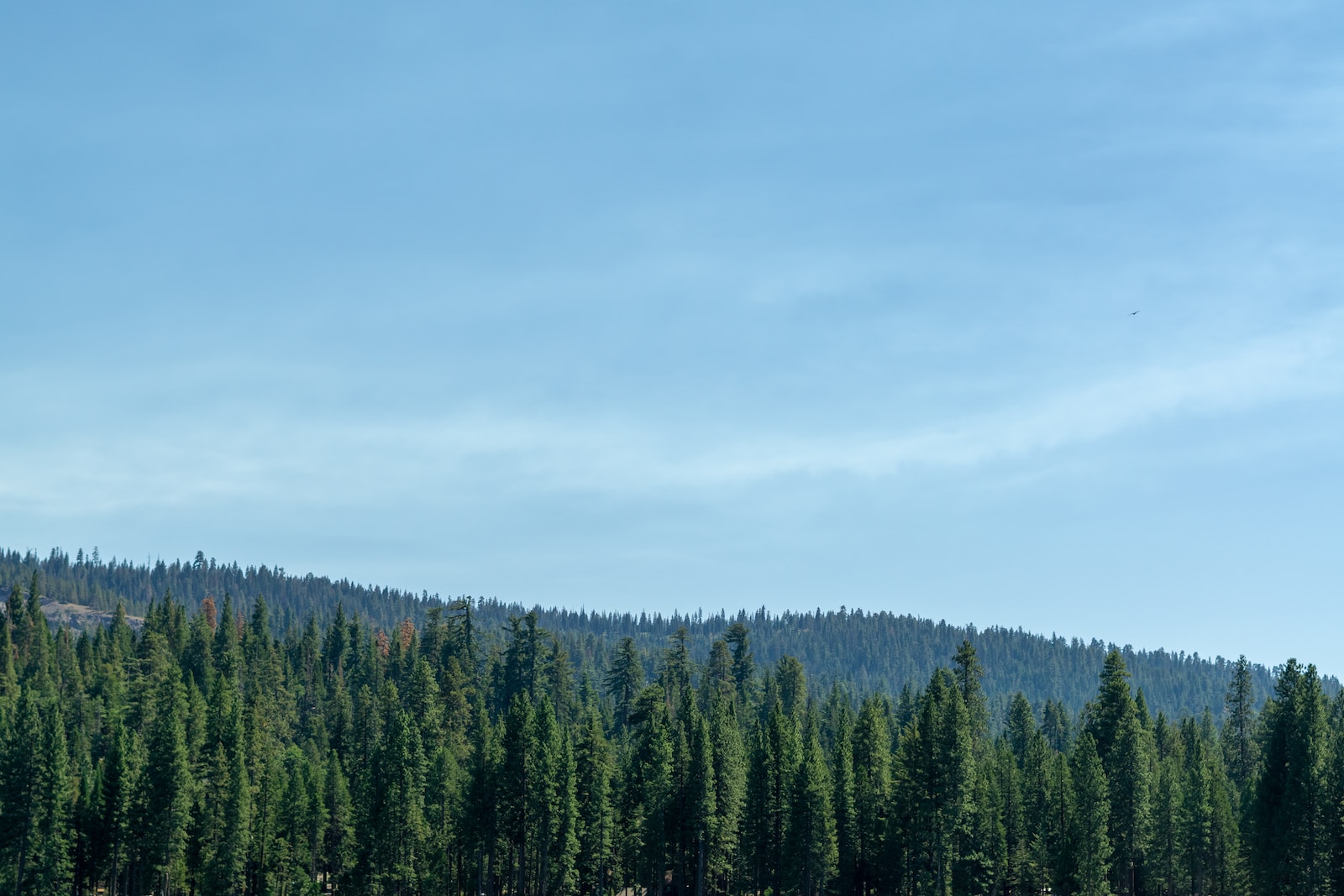 1680735163-4642-7413-lxb_photo0NndhiqGgBIlxb_photo-