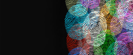 Fingerprints Ops 114