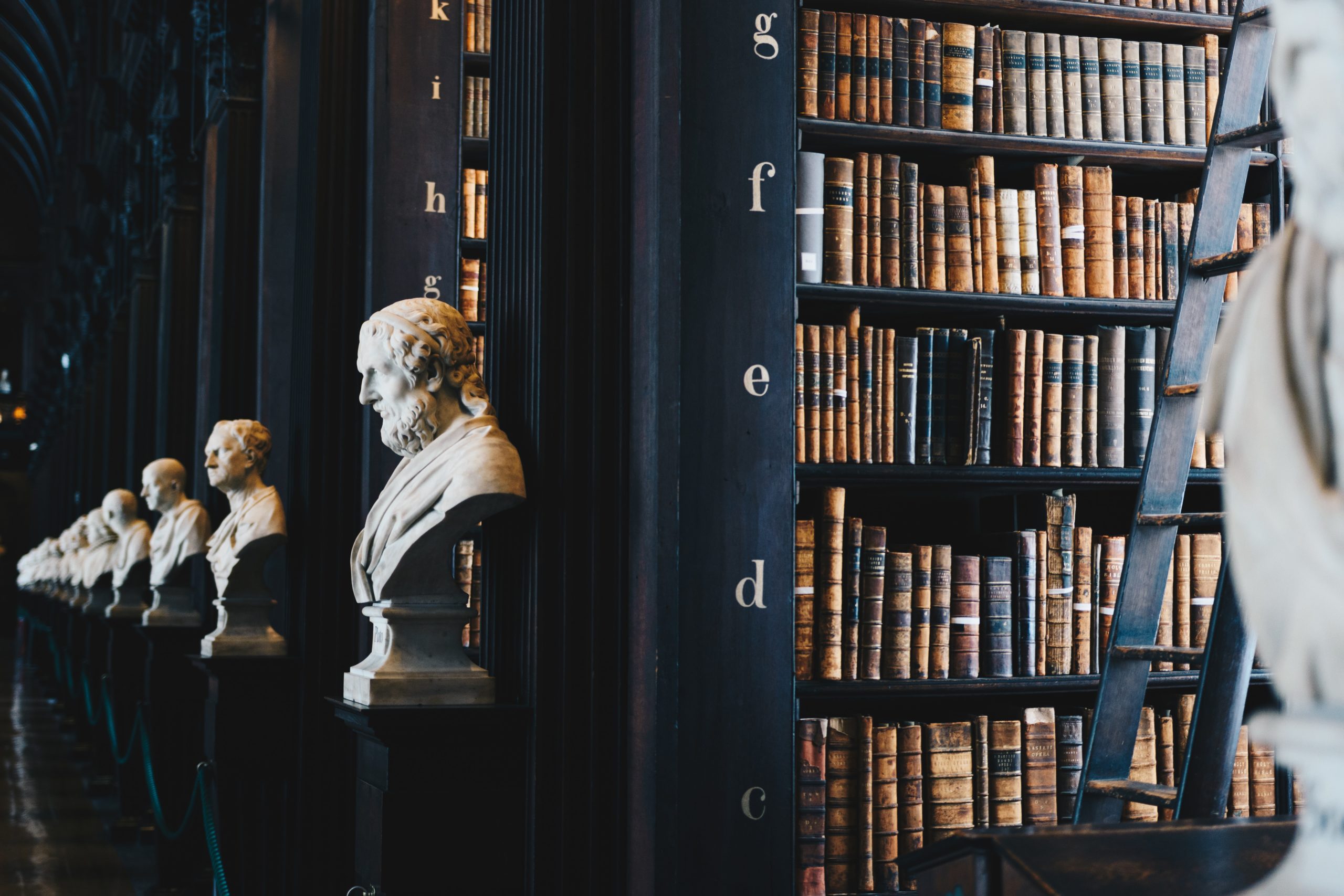 giammarco-zeH-ljawHtg-unsplash (1)