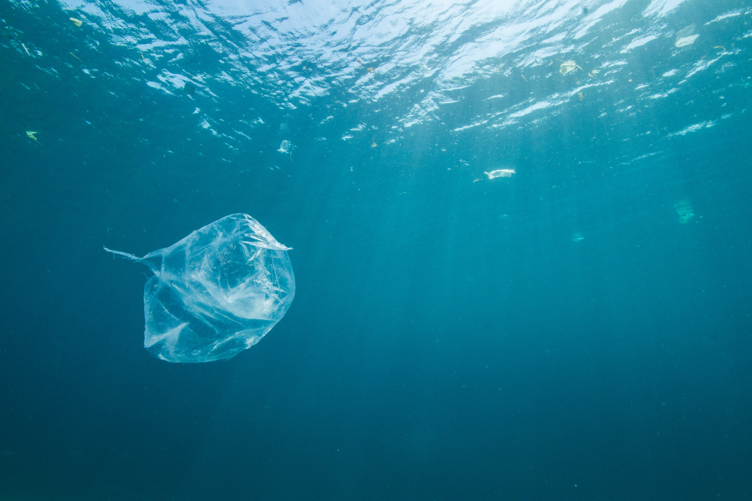 plastic_bag